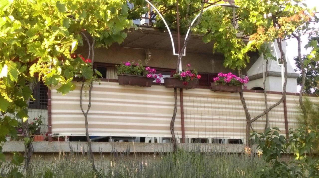 Apartment Kriskovic Novi Vinodolski Zewnętrze zdjęcie